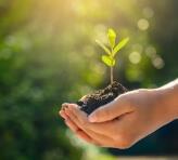 Food industry and agriculture